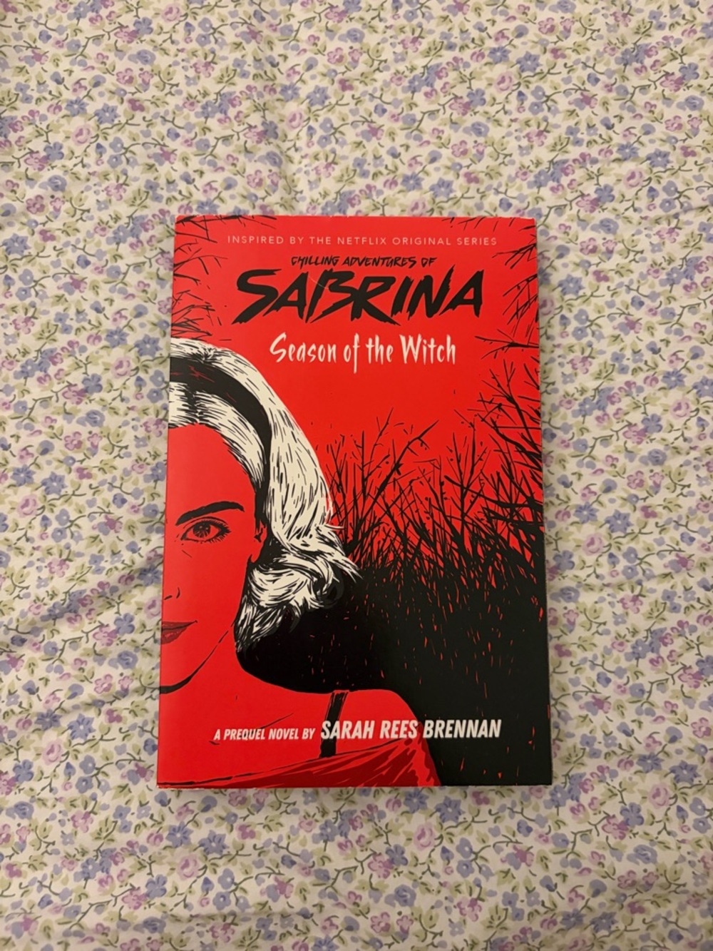 Chilling adventures of Sabrina the Teenage Witch book